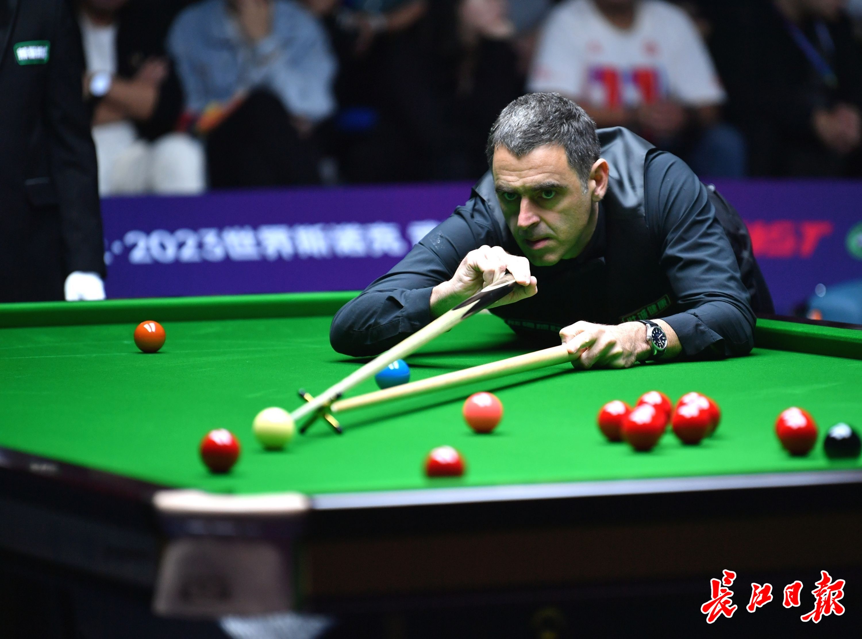 泽家族的商 泽家族的商